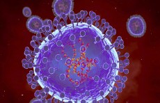 خبراء يحذرون من فيروس خطير "مختبئ"