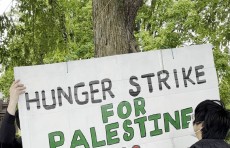 أساتذة جامعة برنستون ينضمون إلى طلبتهم بـ"الاضراب عن الطعام" دعمًا لغزة