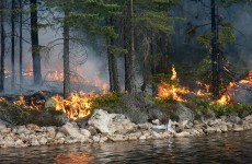 حرائق تجتاح غابات السويد بفعل ارتفاع درجات الحرارة
