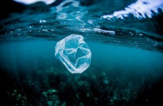 اكتشاف شكل جديد من التلوث البلاستيكي الخطير