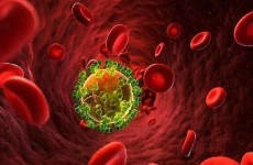 اكتشاف جديد يعد بلقاح يكافح فيروس نقص المناعة البشري مدى الحياة