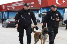 الشرطة التركية تعتقل عشرات الاشخاص بسبب"كورونا"