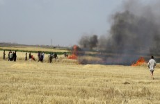الدفاع المدني يعلن حصيلة رسمية جديدة لحرائق الحقول الزراعية "وثيقة"