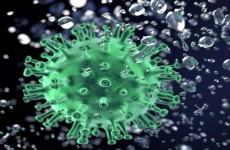 علماء يتوصلون الى نقطة الضعف المميتة لفيروس كورونا