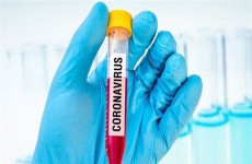 تسجيل 677 إصابة جديدة بفيروس كورونا في جانب الكرخ ببغداد