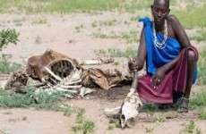 خطر في أفريقيا... انتشار مرض غامض ومجهول في تنزانيا
