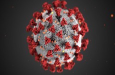 تقارير تزعم اكتشاف متغيّر جديد آخر من فيروس كورونا في 13 دولة!