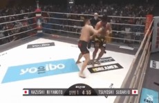 بالفيديو: مصارع سومو سابق يحطم رقما قياسيا لأسرع ضربة قاضية