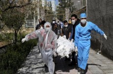 إيران تسجل حصيلة قياسية بعدد الوفيات اليومية بفيروس كورونا