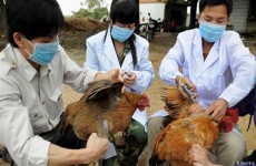 خبراء صينيون يطلقون تحذيراً من "وباء جديد"