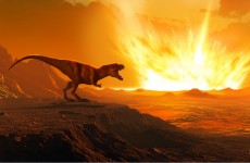 اكتشاف ديناصور جديد يلقب بـ"العظم البارد" يزن طنا وطوله 13 قدما
