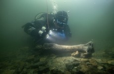 اكتشاف عظام بيسون نادر في نهر توبول بالقرب من كورغان