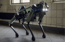 تطوير "روبوت كلب" قادر على إطلاق أكثر من 10 رصاصات في الثانية (فيديو)