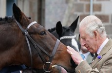 كم جنى الملك تشارلز من بيع خيول الملكة اليزابيث الثانية؟
