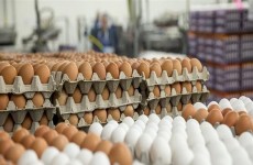 بأسعار مخفضة.. التجارة تعلن ضخ كميات من البيض والحليب والطحين