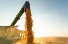 روسيا تبدي موقفاً من تجديد اتفاقية تصدير الحبوب عبر أوكرانيا