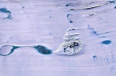 حل لغز بحيرة مختفية في قارة القطب الجنوبي