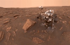 ناسا تكتشف صخرة غريبة تشبه العظام على سطح المريخ
