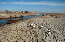 جفاف العراق بأعين دولية.. شح المياه يقسو على "جنة عدن" والهجرة تهدد الأهوار