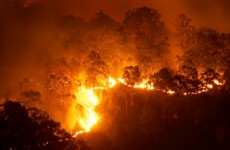 حرائق غابات كاليفورنيا مرتبطة بالتغيرات المناخية