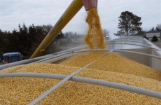 روسيا تعلن رسمياً إيقاف "صفقة الحبوب".. ما شروط عودتها للاتفاق؟