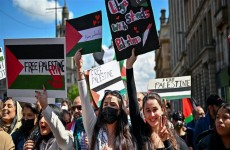 شباب أمريكا يميلون لفلسطين أكثر من "إسرائيل".. استطلاع يكشف التفاصيل