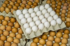 طبيبة تحدد كم بيضة دجاج يمكن تناولها في اليوم
