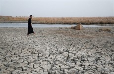 دراسة: احتمالية حدوث جفاف في العراق وسوريا زادت 25 مرة