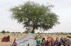 "الجوع ونقص الغذاء" يدفعان دولة إفريقية لإعلان الطوارئ