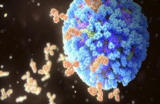 اكتشاف أجسام مضادة نادرة تستهدف "الجانب المظلم" لفيروس الإنفلونزا
