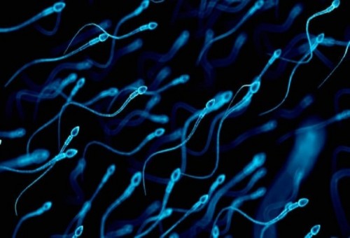 تقنية مثيرة للجدل قد تسمح بتحديد جنس المولود في التلقيح الاصطناعي!