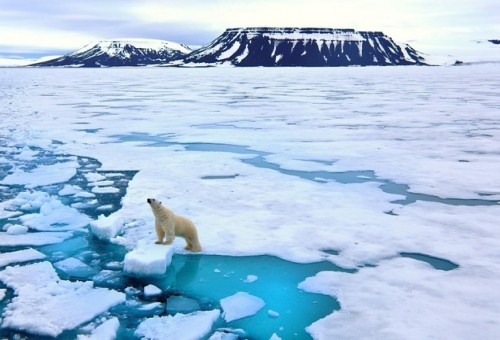 دراسة تحذر من خسارة كارثية تتربص بالقطب الشمالي في سبتمبر