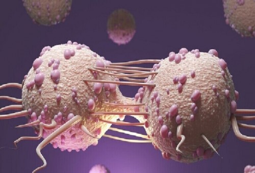 علماء روس يبتكرون مادة تزيد من فعالية العلاج الكيميائي لسرطان الرحم