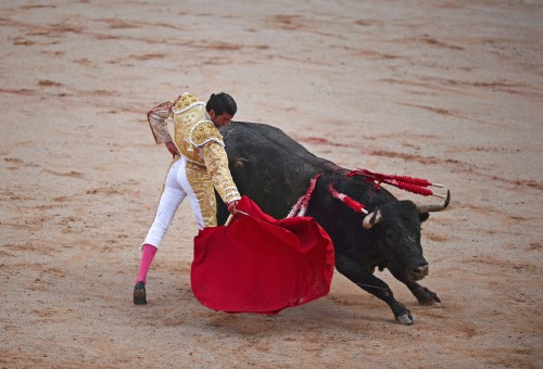 عودة مصارعة الثيران في مدريد لأسباب سياسية