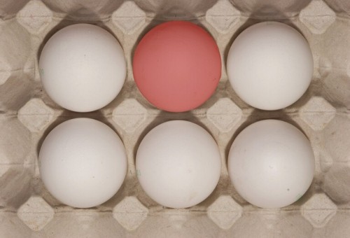 كم بيضة يمكن أن نأكل صحيا في الأسبوع؟