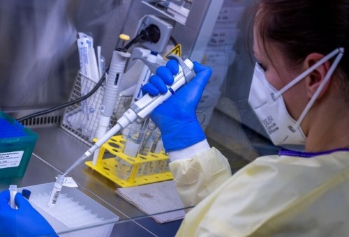 علماء ألمان يفجرون مفاجأة مدوية عن منشأ فيروس كورونا!