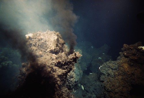 بكتيريا في أعماق البحار تلمح إلى كيفية انتشار الحياة القديمة!