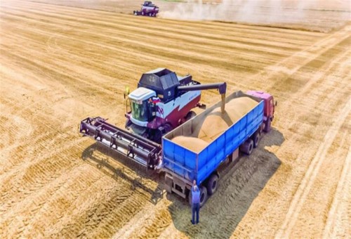 إيران تواجه مشكلة تخص القمح.. المزارعون: نفضل بيع محاصيلنا للعراق